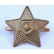 Army odznak, hvězda bronzová, pět cípů, výška 22 mm